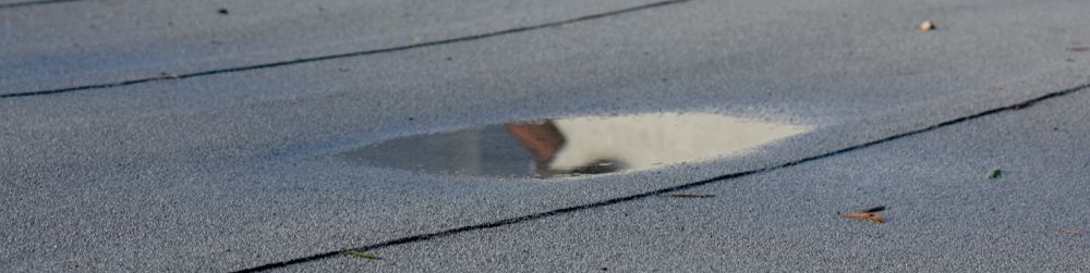 Klein plasje op plat dak
